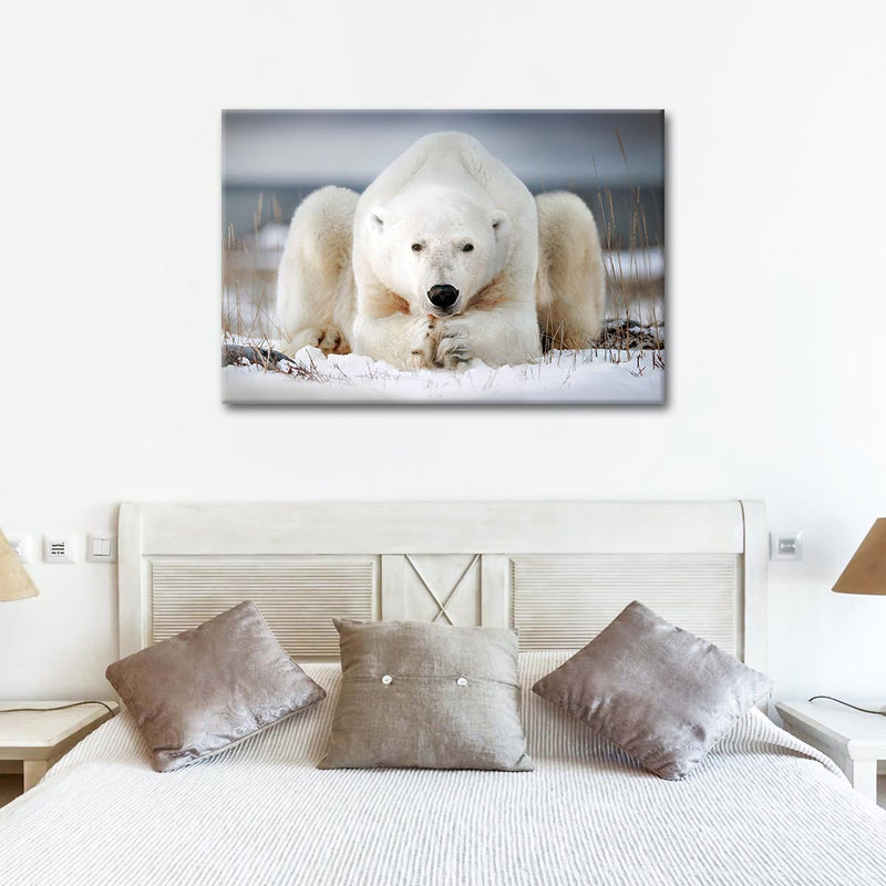 Yoga Polar Bear Wall Art