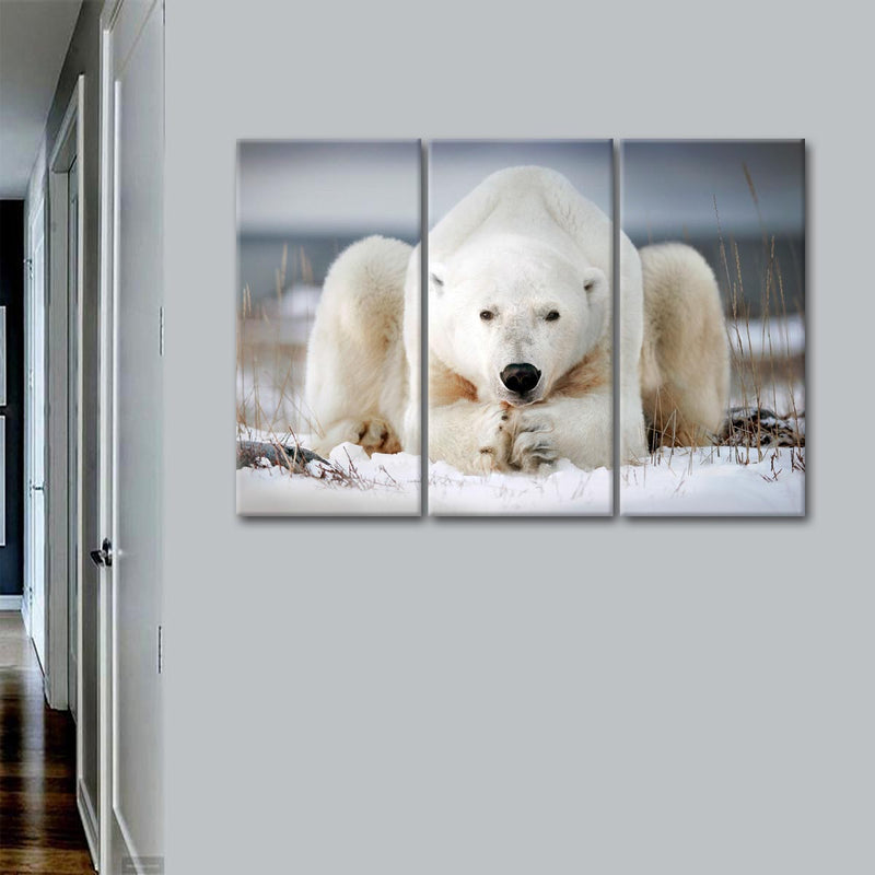 Yoga Polar Bear Wall Art