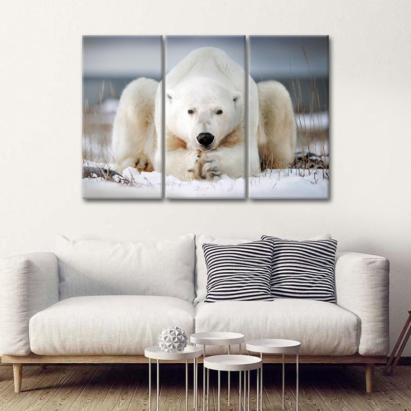 Yoga Polar Bear Wall Art