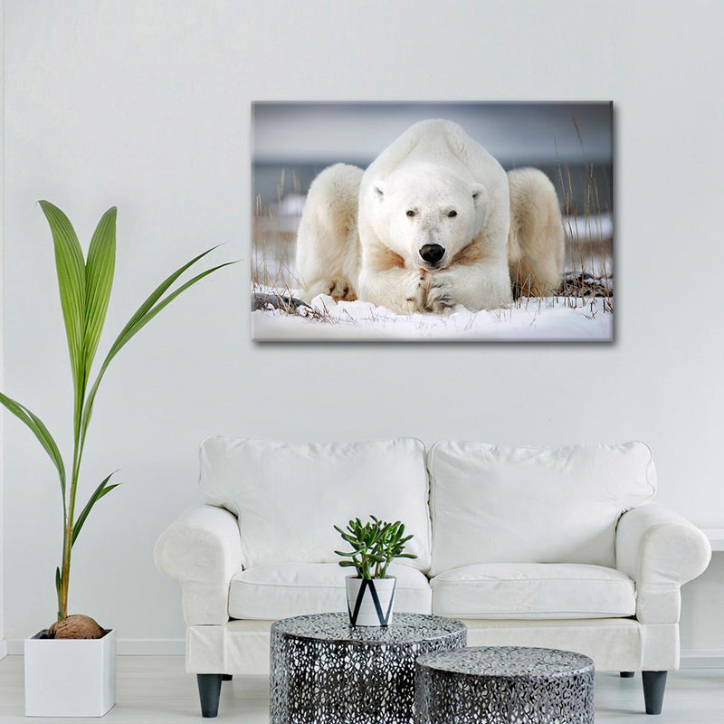 Yoga Polar Bear Wall Art