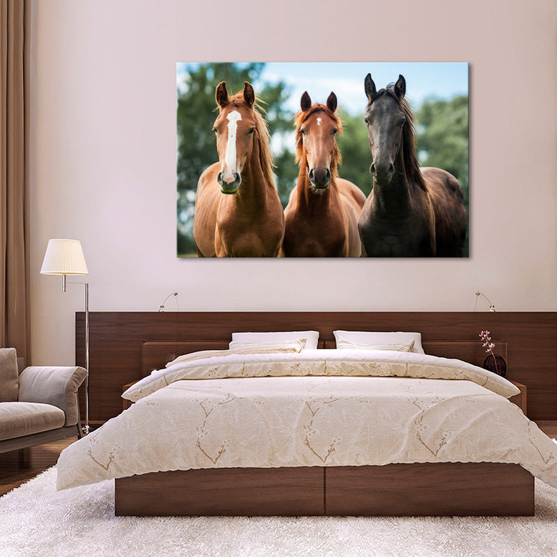 Young Horses Wall Art