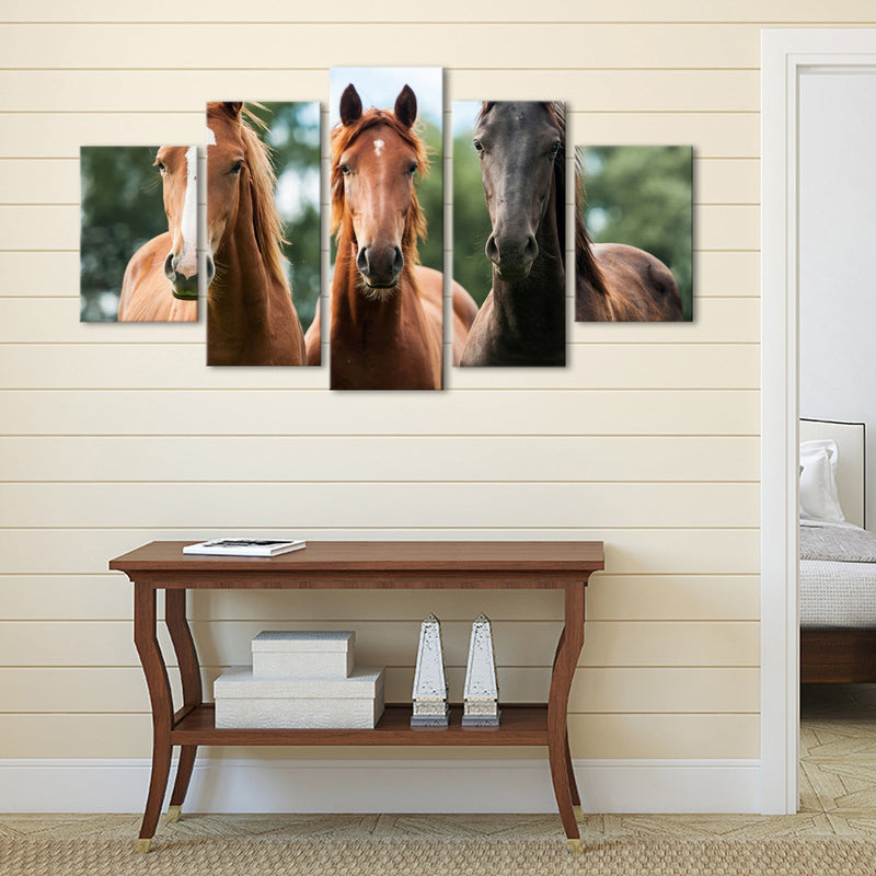 Young Horses Wall Art