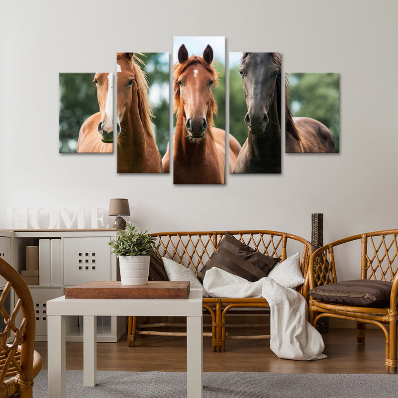 Young Horses Wall Art