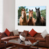 Young Horses Wall Art
