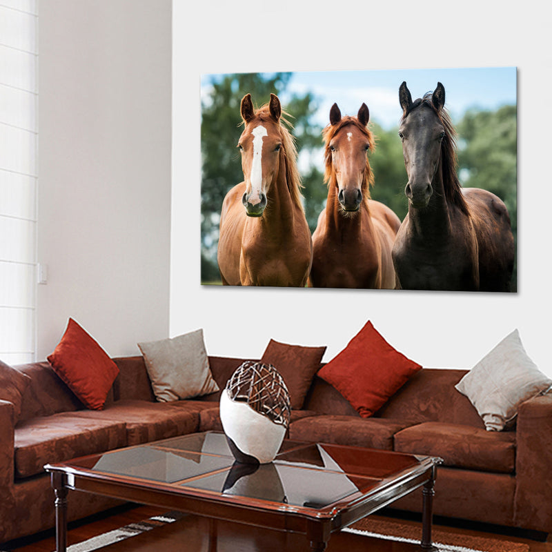 Young Horses Wall Art