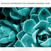 Teal Rose Succulent Canvas Wall Art II