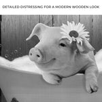 Girly Pig In Bathtub Canvas Wall Art
