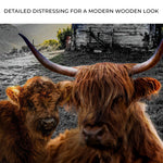 Highland Cow Farmhouse Canvas Wall Art