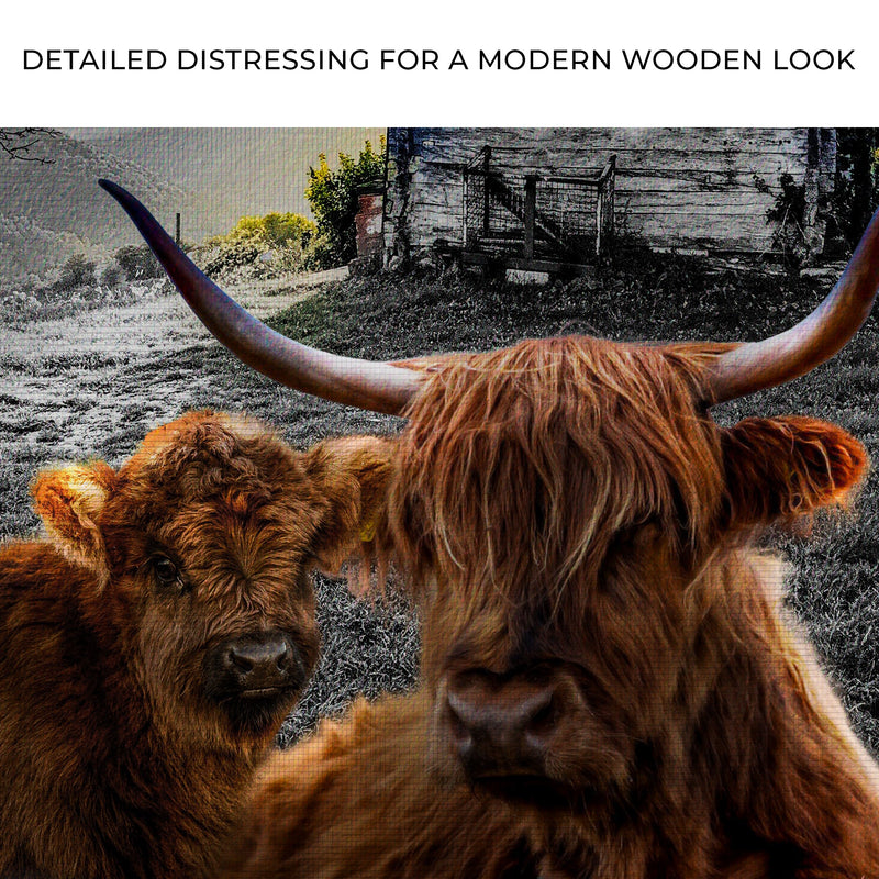 Highland Cow Farmhouse Canvas Wall Art