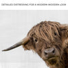 Curious Highland Cow Canvas Wall Art