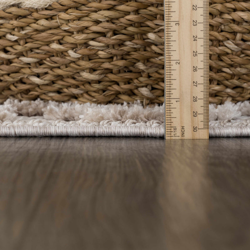 Poydras Area Rug