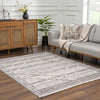 Barurao Area Rug
