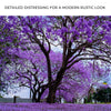Jacaranda Trees Canvas Wall Art