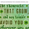 St. Patrick's Day Blessings Sign