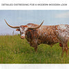 Texas Longhorn Cattle Canvas Wall Art II