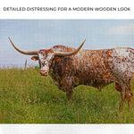 Texas Longhorn Cattle Canvas Wall Art II