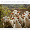 Curious Sheep Canvas Wall Art