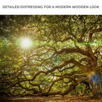 Angel Oak Tree Canvas Wall Art