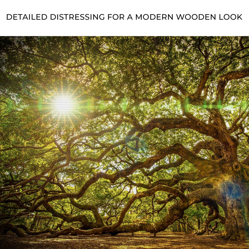 Angel Oak Tree Canvas Wall Art