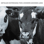 Black And White Cows Canvas Wall Art