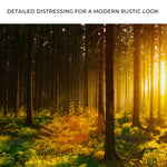 Silent Woods At Sunrise Canvas Wall Art