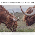 Farmhouse Highland Cow Canvas Wall Art