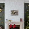 SAMPLE LISTING FOR PET MEMORIAL