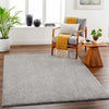 Judy Light Gray Washable Area Rug