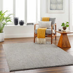 Judy Light Gray Washable Area Rug