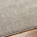 Judy Light Gray Washable Area Rug