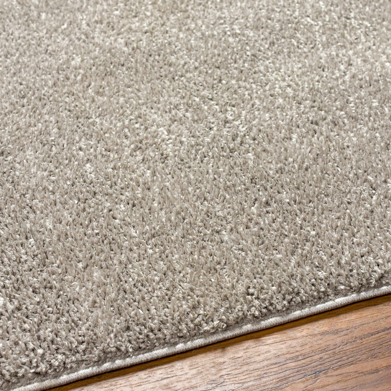 Judy Light Gray Washable Area Rug