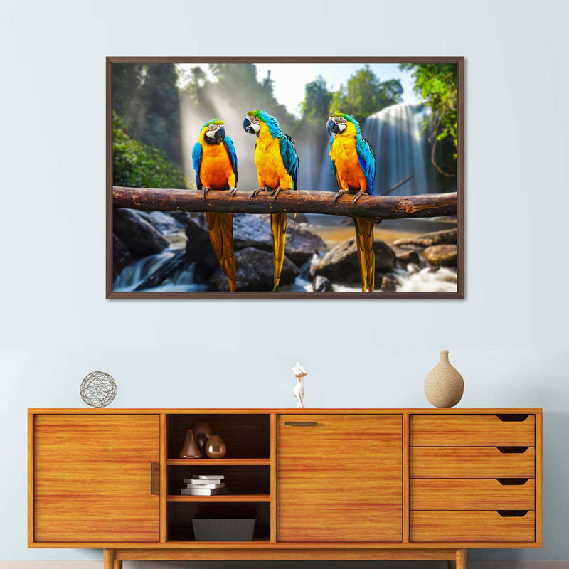 Macaw Friends Wall Art