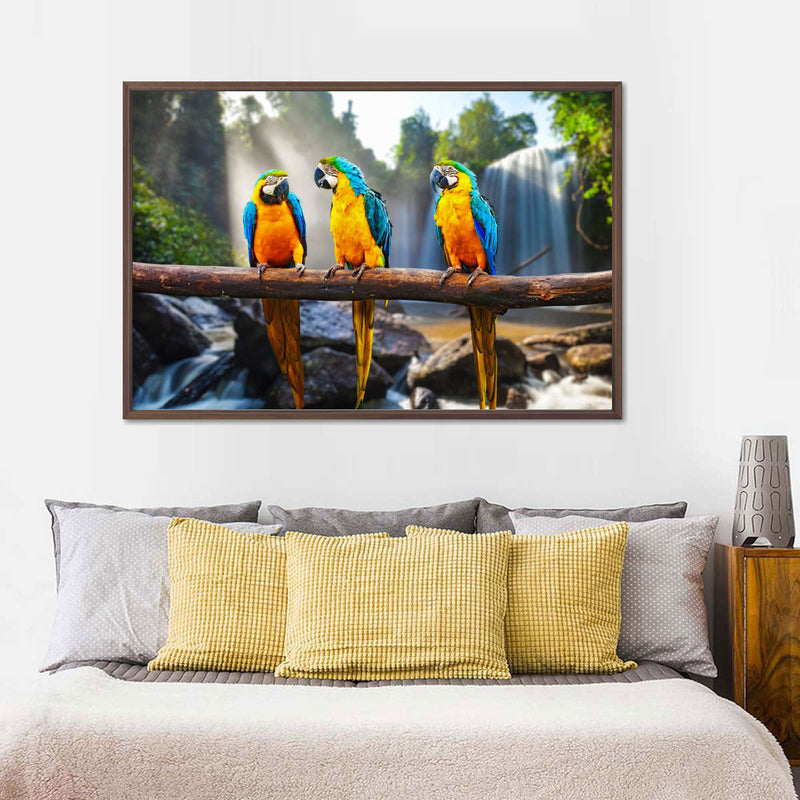 Macaw Friends Wall Art