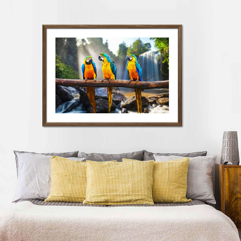 Macaw Friends Wall Art
