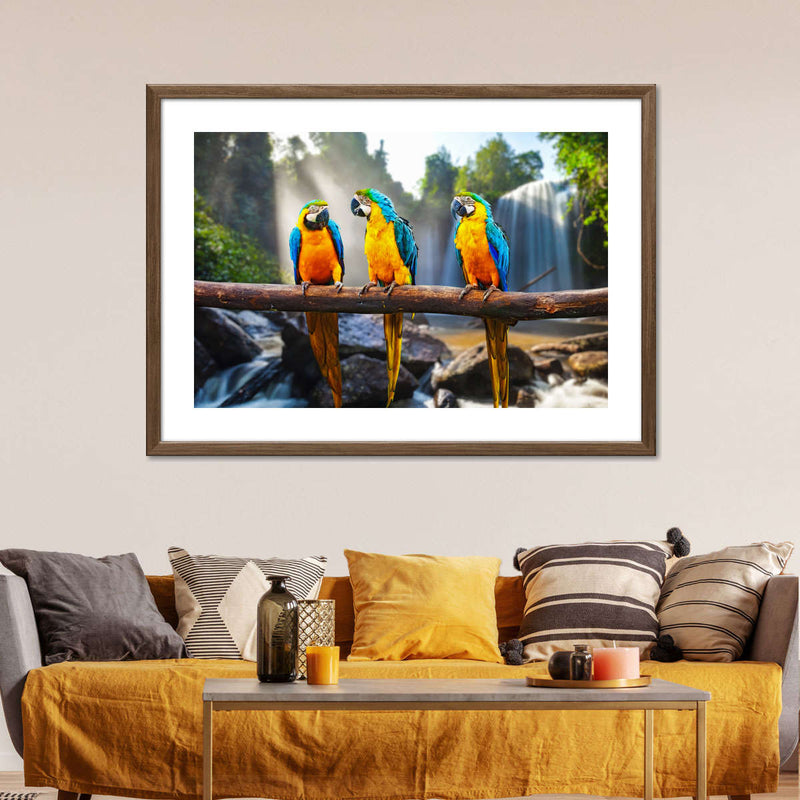Macaw Friends Wall Art