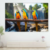 Macaw Friends Wall Art