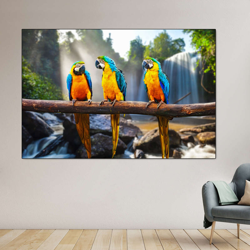 Macaw Friends Wall Art