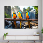 Macaw Friends Wall Art