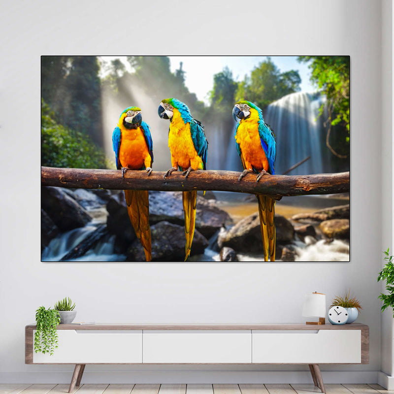 Macaw Friends Wall Art