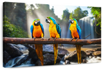 Macaw Friends Wall Art