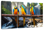 Macaw Friends Wall Art