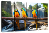 Macaw Friends Wall Art