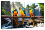 Macaw Friends Wall Art