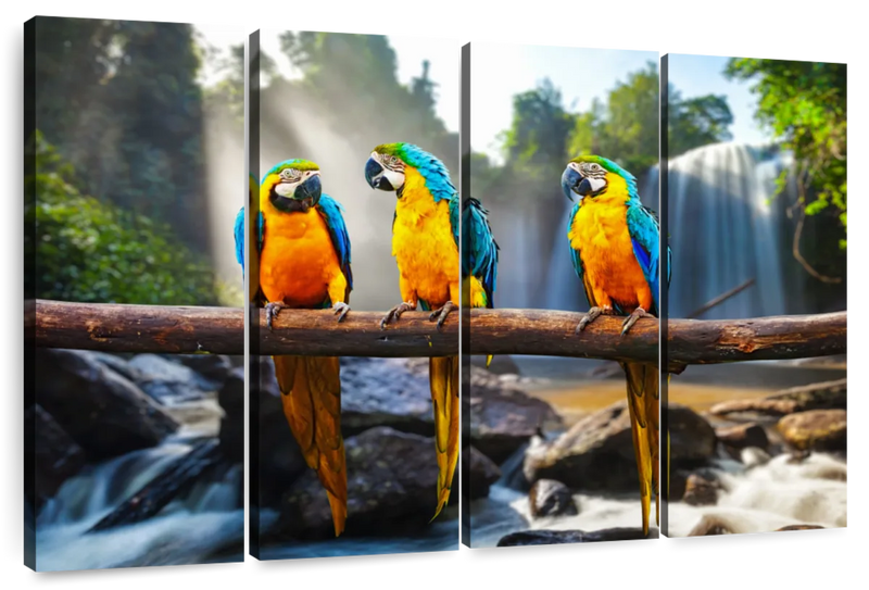 Macaw Friends Wall Art
