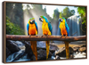 Macaw Friends Wall Art