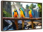 Macaw Friends Wall Art