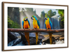 Macaw Friends Wall Art