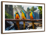 Macaw Friends Wall Art