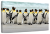 Waddle Of Penguins Wall Art