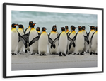 Waddle Of Penguins Wall Art